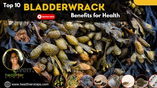 Top 10 Bladderwrack Benefits Learn More About This Healthy algae [upl. by Nylak]