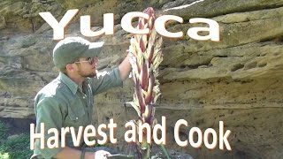 How to Harvest and Cook Yucca [upl. by Zoila217]