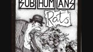 Subhumans  Rats [upl. by Adnolahs]