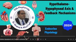 HypothalamoHypophyseal Axis amp Feedback Mechanisms 102024 by Dr Khaled A Abulfadle [upl. by Pelligrini]