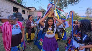 Qué increibles son las Bodas en Michoacán conElPepeLudoDeMichoacan [upl. by Aneret]