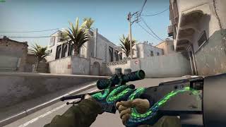 AWP  Atheris Field tested [upl. by Auqinehs]