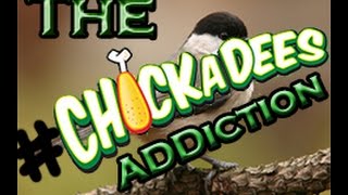 chickadee addiction EP27  Slut [upl. by Aneer396]