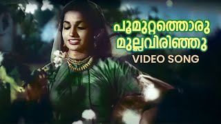 Poomuttathoru Mulla Video Song  Raarichan Enna Pauran  Santha P Nair  K Raghavan [upl. by Sid667]