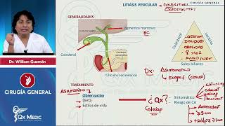 CX GENERAL  PATOLOGÍA BILIAR  2024 QX MEDIC [upl. by Anitnerolf481]