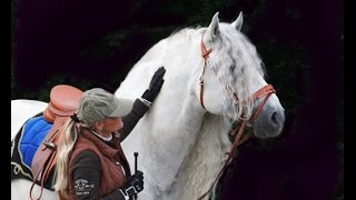 LUSITANO ZEUS [upl. by Nataniel]