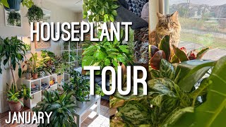 Houseplant Apartment Tour January 2024 [upl. by Burch]