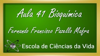 Bioquímica Aula 41  Considerações gerais do metabolismo da glicose [upl. by Yuu106]