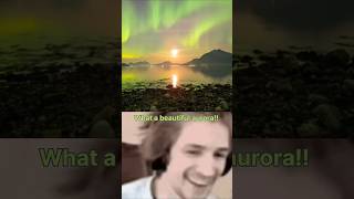 Northern lights  aurora borealis ytshorts shorts viralvideo aurora 🌈🌎 [upl. by Acinelav]