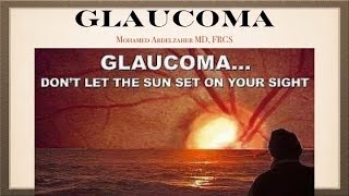 Glaucoma Anatomy [upl. by Asert58]