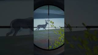 The Hunter Call of the Wild Massive Diamond Whitetail Deer [upl. by Macknair]