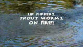 GREAT Trout Fishing at GVL using Lip RipperZ Lures [upl. by Teresita]