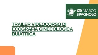 Trailer Videocorso Di Ecografia Ginecologica Buiatrica [upl. by Codee830]