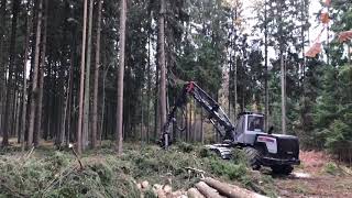 LOGSET 8H GT in the big forest with some extreme [upl. by Cos]