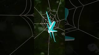 🕷️ Lets Learn About Spider Webs 🕸️ [upl. by Llehcram]