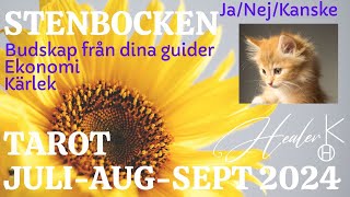 Stenbocken ♑️ JuliAugustiSeptember 2024 Tarot  Healer K [upl. by Dremann]