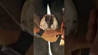 Clean horse hoof and restoration restoration asmr farrier hoof horseshoeing satisfying shorts [upl. by Eslehc]