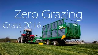 Zero Grazing  Grass 2016 Has Begun [upl. by Nodnahs]