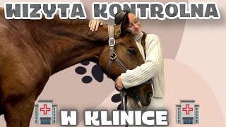 🏥 WIZYTA KONTROLNA W KLINICE [upl. by Ronny197]