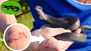 Do NONVENOMOUS Snake Bites Hurt  Catching Some FEISTY Racer Snakes [upl. by Seften]