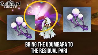 Bring the Udumbara to the residual Pari  3 Udumbara Pistil Location  Genshin Impact 36 [upl. by Donoho]