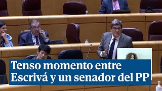 Escrivá abandona el Senado quotEste señor está hablando por teléfono y no me deja hablarquot [upl. by Aura]