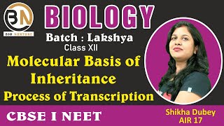 MOLECULAR BASIS OF INHERITANCEPROCESS OF TRANSCRIPTION CLASS XII BIOLOGY NEET 2025 LAKSHYA [upl. by Sidonia735]