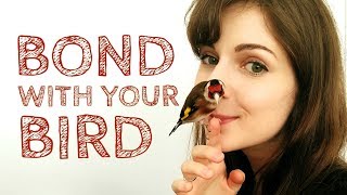 3 Easy Tips for Bonding With Your Bird  Canary amp Goldfinch Taming [upl. by Hametaf]