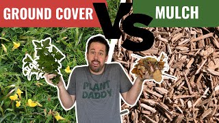 Ground Cover vs Mulch  Which Is Better [upl. by Halyhs491]