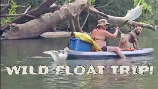 Niangua River Kayak Canoe or Raft Float Anything [upl. by Onofredo]