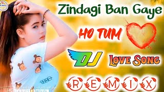 Nonstop JBL dj remix hindi Song 2024  Trendings DJ Hindi November  New Hindi Dj Song 2024 dance [upl. by Aliet]