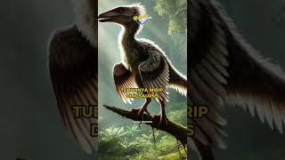 Archaeopteryx Makhluk Prasejarah yang Menghubungkan Dinosaurus amp Burung [upl. by Lebasi]