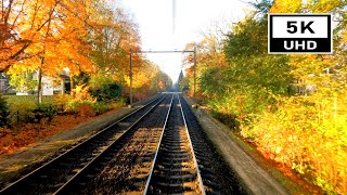 5K60fps Fall season in the Netherlands sHertogenbosch  Roosendaal CABVIEW HOLLAND 10 nov 2021 [upl. by Ayatnohs]