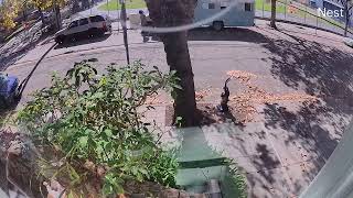 Illegal vehicle dump in front of a children’s school in West Berkeley CA [upl. by Parhe]