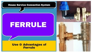 Ferrule [upl. by Chandal]