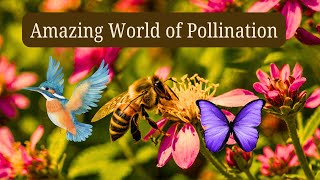 The Amazing World of Pollination [upl. by Eillib255]