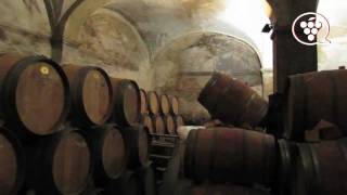 Visita Celler Cal Pla  1ª parte wwwenoguiacat [upl. by Staal812]