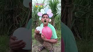 bird sound 🐤🦜🐣 Hussain7star viral shorts trending funny comedy shortvideos shortsfeed [upl. by Gage154]