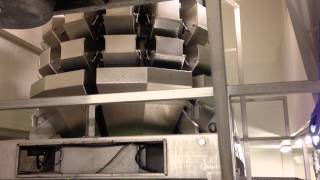 14 head Yamato multihead weigher for sale incl elevating conveyor and Platform [upl. by Niad]