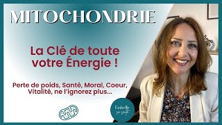 Comment la Mitochondrie Influence Notre Énergie et Notre Santé Biologie Cellulaire [upl. by Lally]