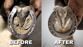 Satisfying Full Horse Hoof Restoration  FARRIER ASMR [upl. by Waylin]