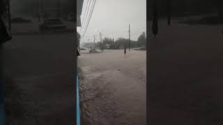 Lluvias en Moctezuma Sonora agosto 2024 shortvideos lluvia inundación parati viralvideo [upl. by Nireves]