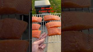 Simple Smoked Salmon Recipe with the East Oak Electric Smoker smokedfish [upl. by Kaye]