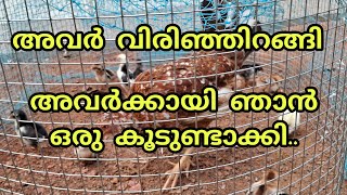 കോഴിക്കുഞ്ഞുങ്ങൾക്കു ഒരു കൂട് Coop for newly hatched chicks [upl. by Giavani]