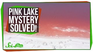 Pink Lake Mystery Solved [upl. by Pacifica280]