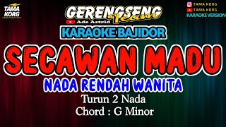 SECAWAN MADU KARAOKE  Ade Astrid  BAJIDOR [upl. by Aicercul]