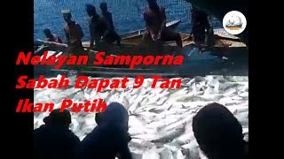 Nelayan Kecil Samporna Sabah Dapat 9 Tan Ikan Putih [upl. by Assetal]