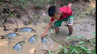 Primitive technology  trapping to catch fish by catching 100 [upl. by Sorkin330]