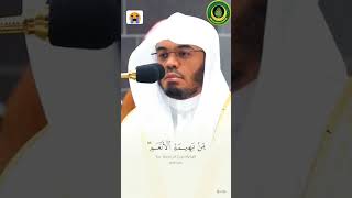 emame haram Sheikh Yasser AlDosari [upl. by Retrop611]