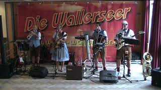 Die Wallerseer  Live Mitschnitt einer Hochzeit [upl. by Pollitt]